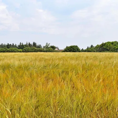 Modern Retreat By Fjord - By Traum Sønder Nissum